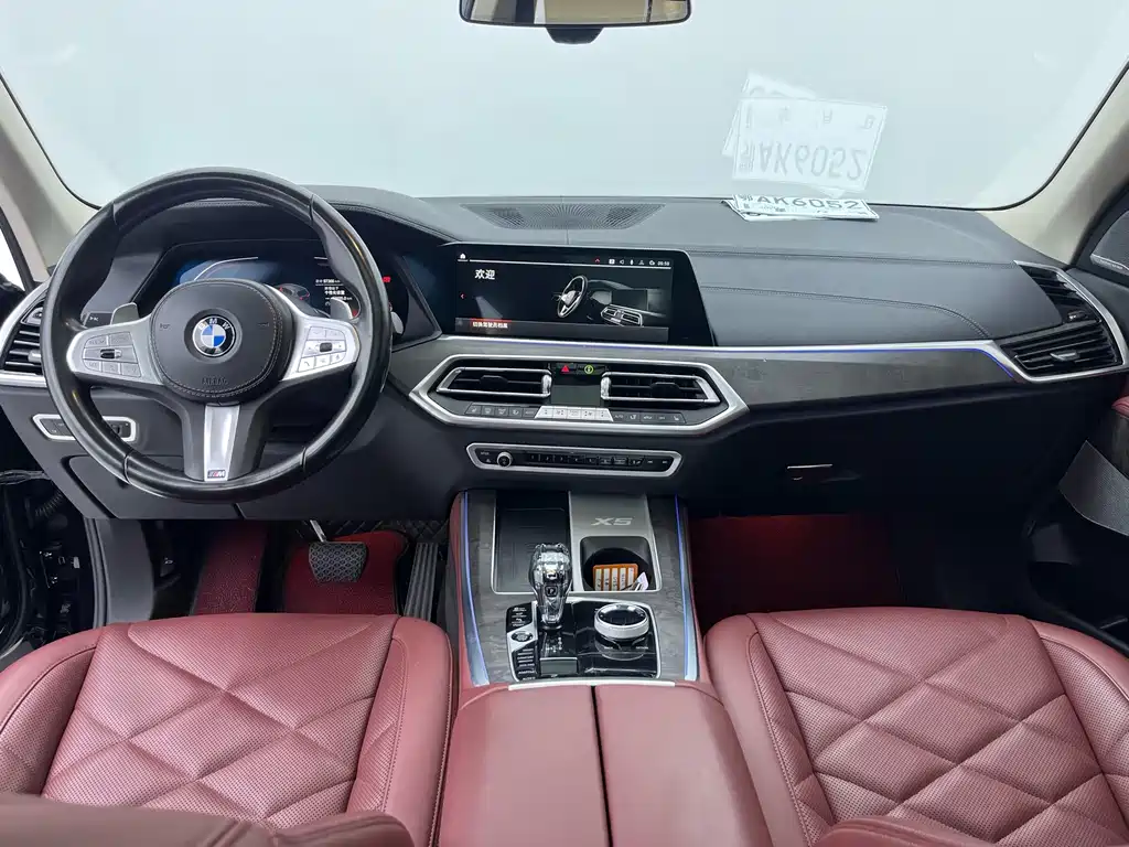 BMW X5 — миниатюра 10