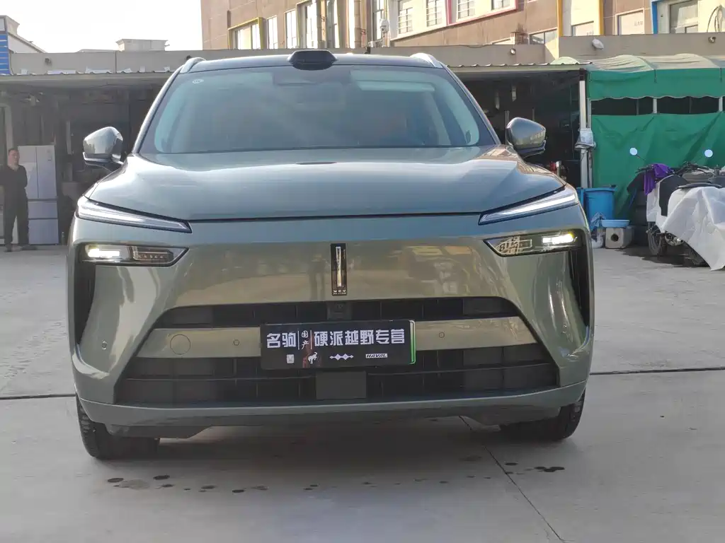 WEI PAI WEI BRAND BLUE MOUNTAIN