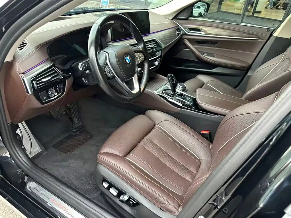 BMW 5 Series 5 2021 530Li Premium Luxury