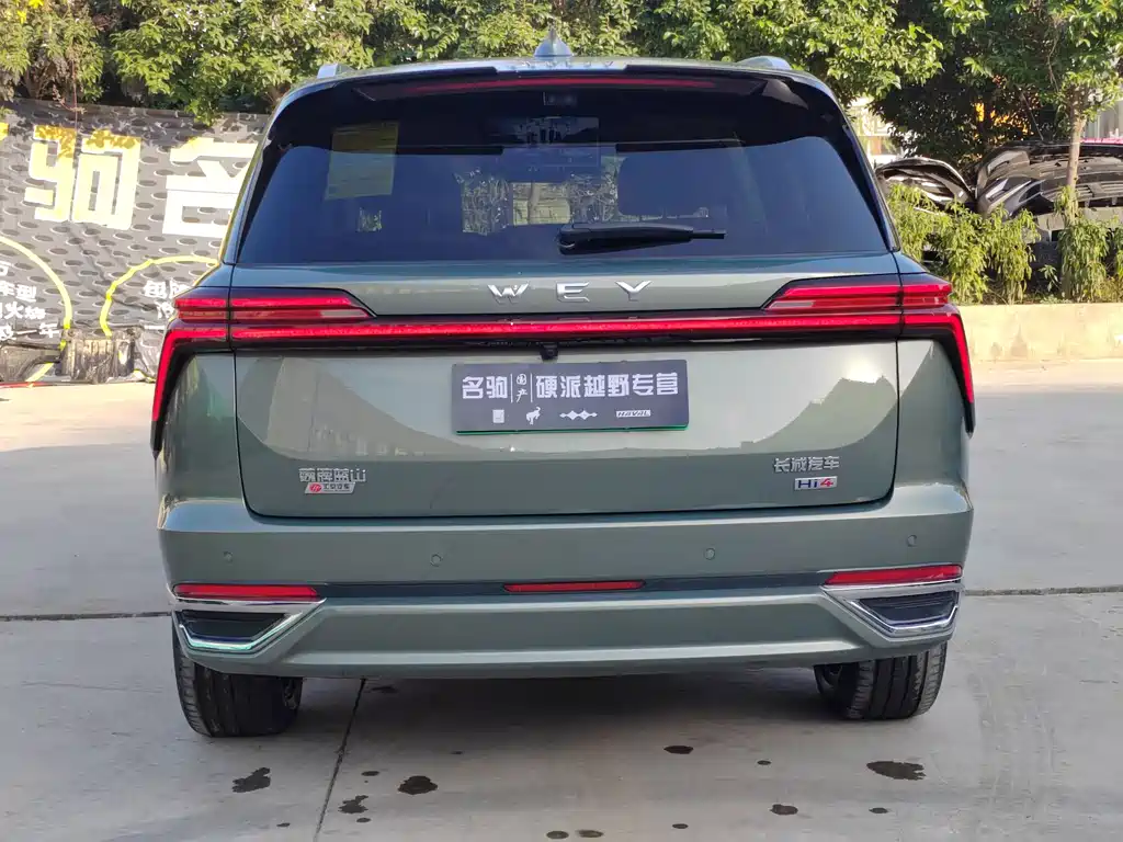 WEI PAI WEI BRAND BLUE MOUNTAIN