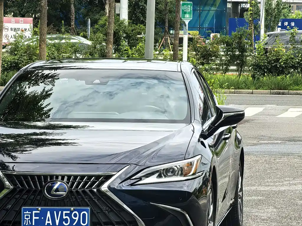 Lexus ES 300h Excellence Edition, фото 9