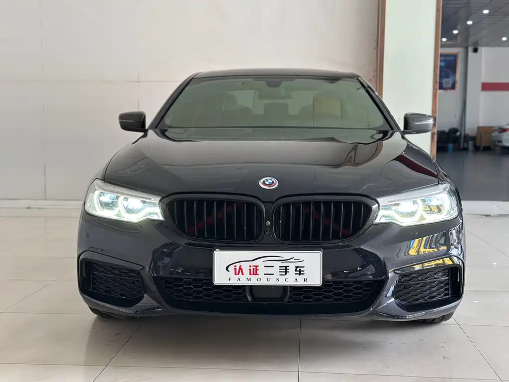 BMW 5 Series 5 2020 530Li Premium M Sport