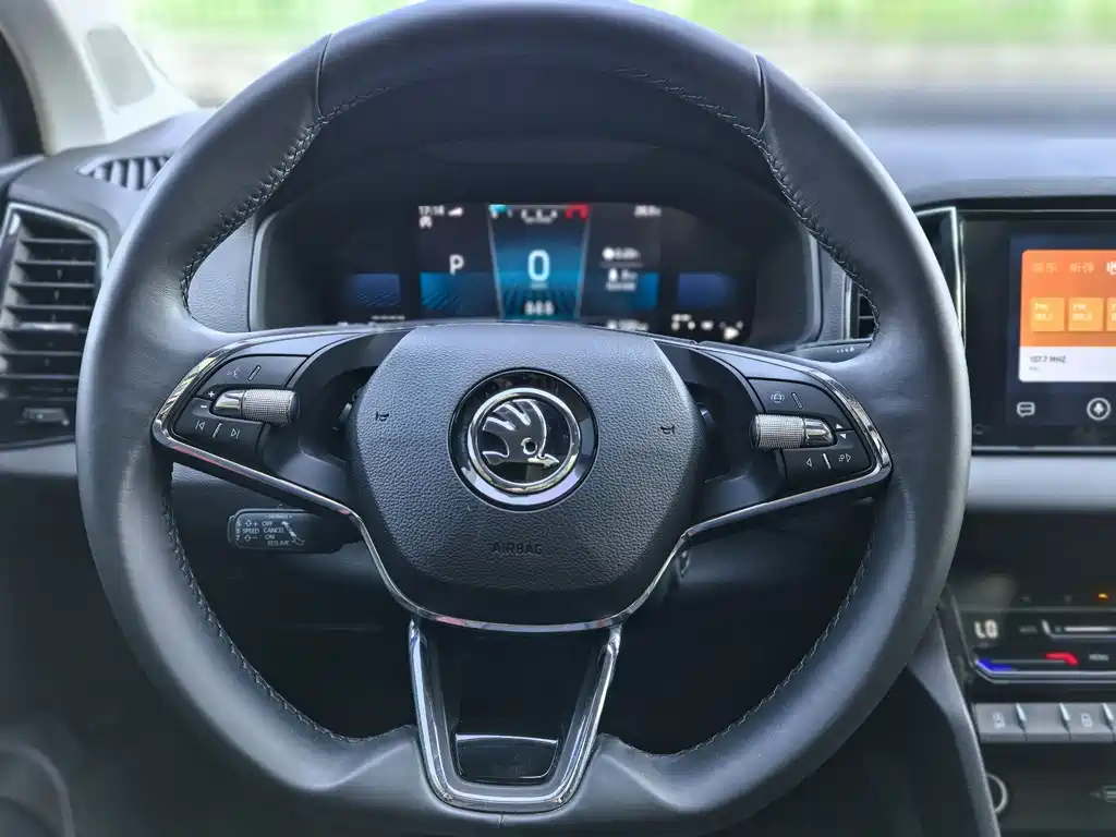 Skoda Karoq TSI280 Luxury Enjoy Edition, фото 11
