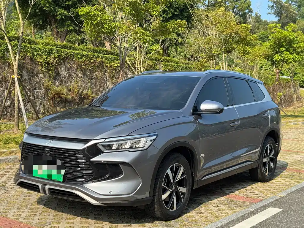 BYD Pro New Energy