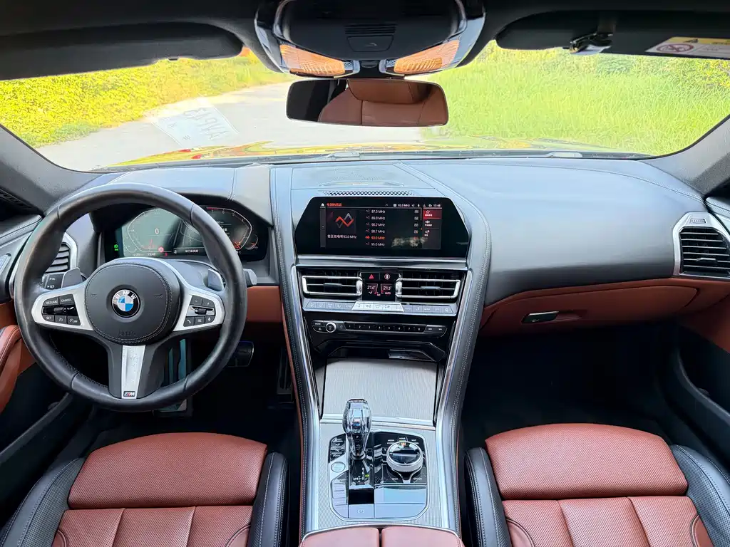 BMW 8 Series — миниатюра 13