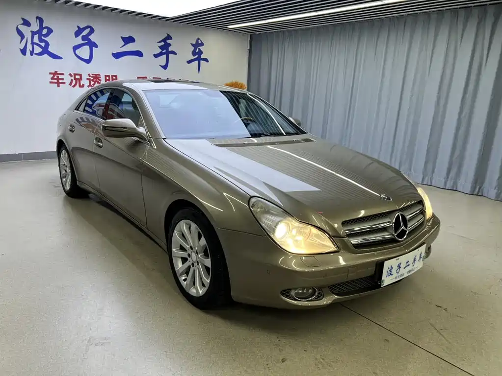 Mercedes-Benz CLS CLS 300, фото 3