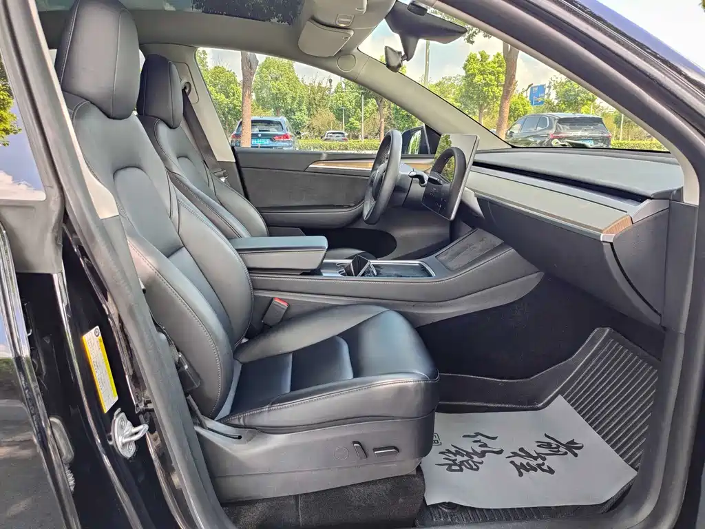 Tesla Model Y — миниатюра 10