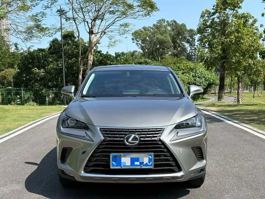 2020 Lexus NX - zdjęcie 1 z 9