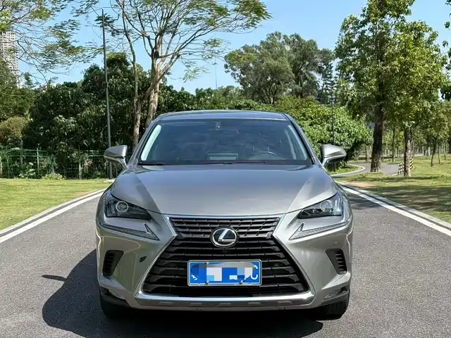 2020 Lexus NX
