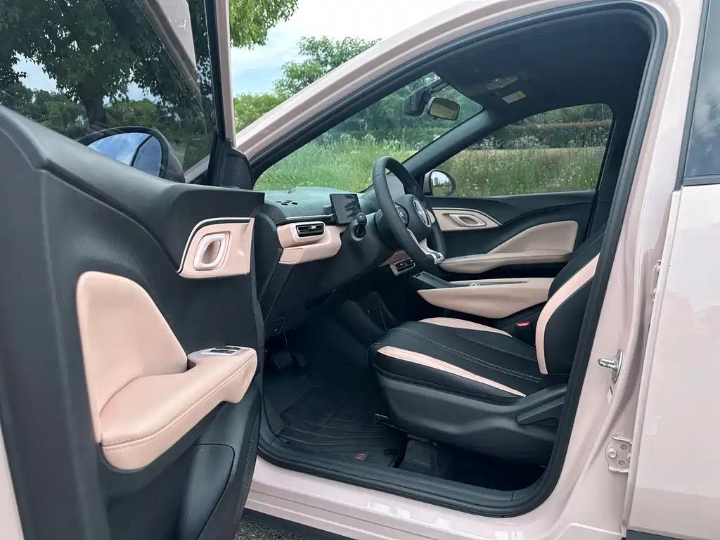BYD Seagull