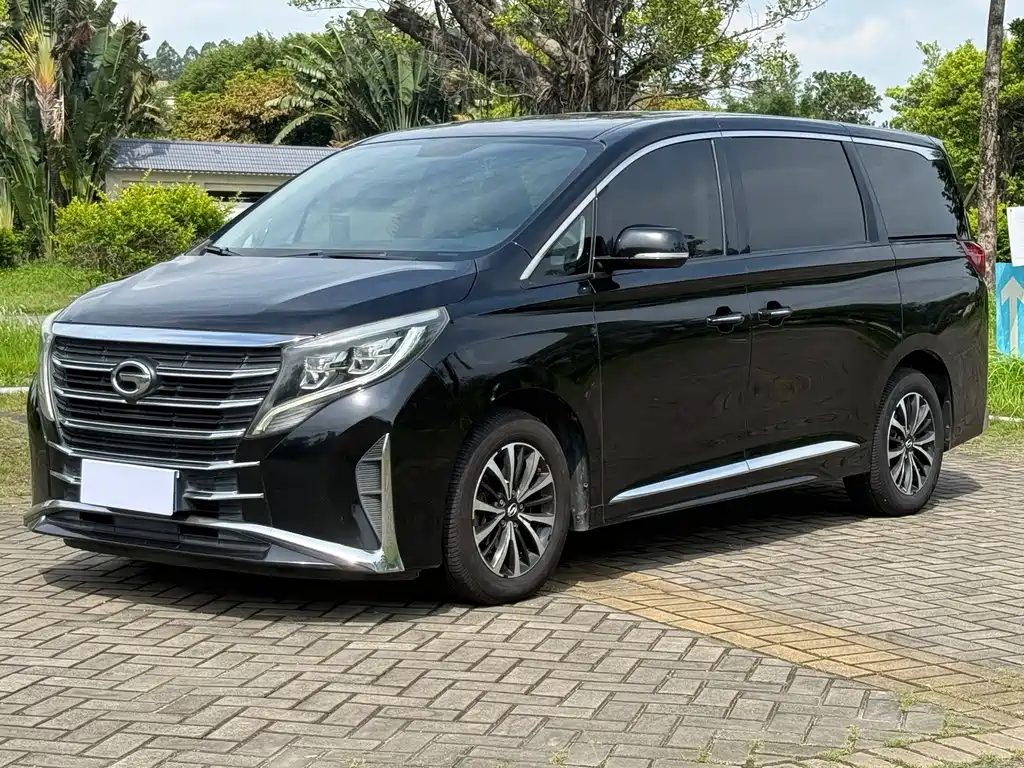 2021 GAC GN8 - zdjęcie 1 z 21