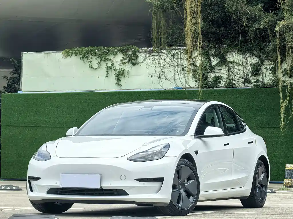 Tesla Model 3 2021