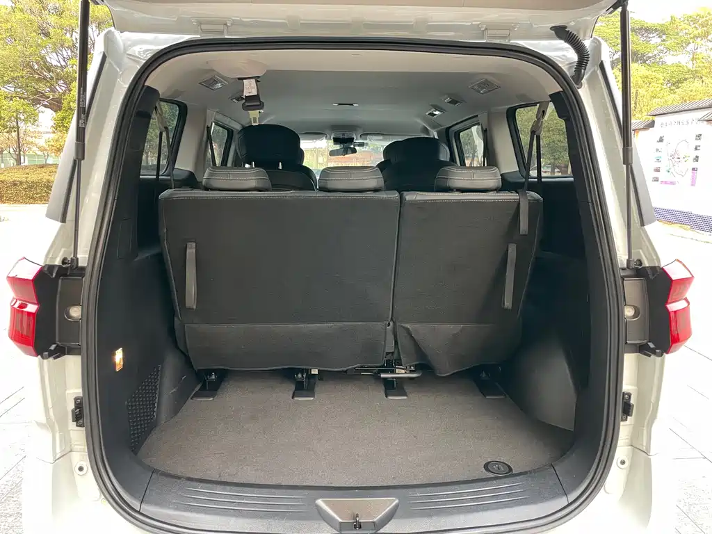 SAIC MAXUS CHASE G20