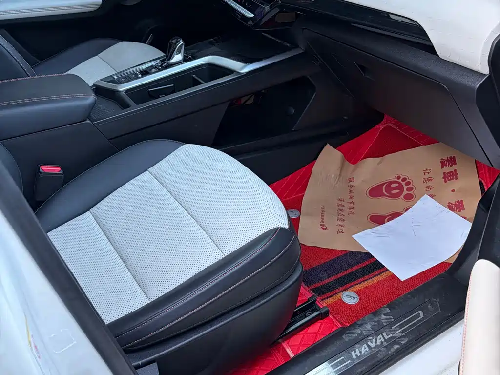 Haval Chitu — миниатюра 22