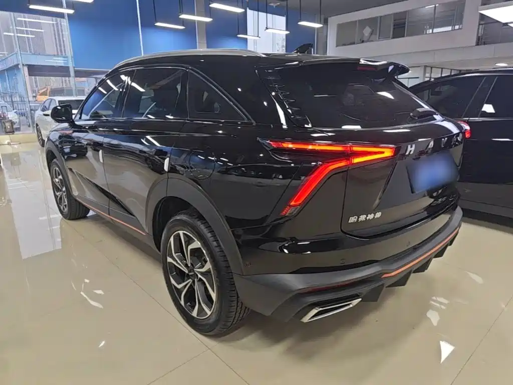 Haval Shenshou — миниатюра 5