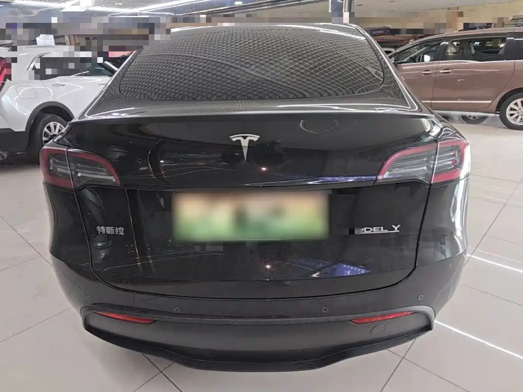 Tesla Model Y — миниатюра 6