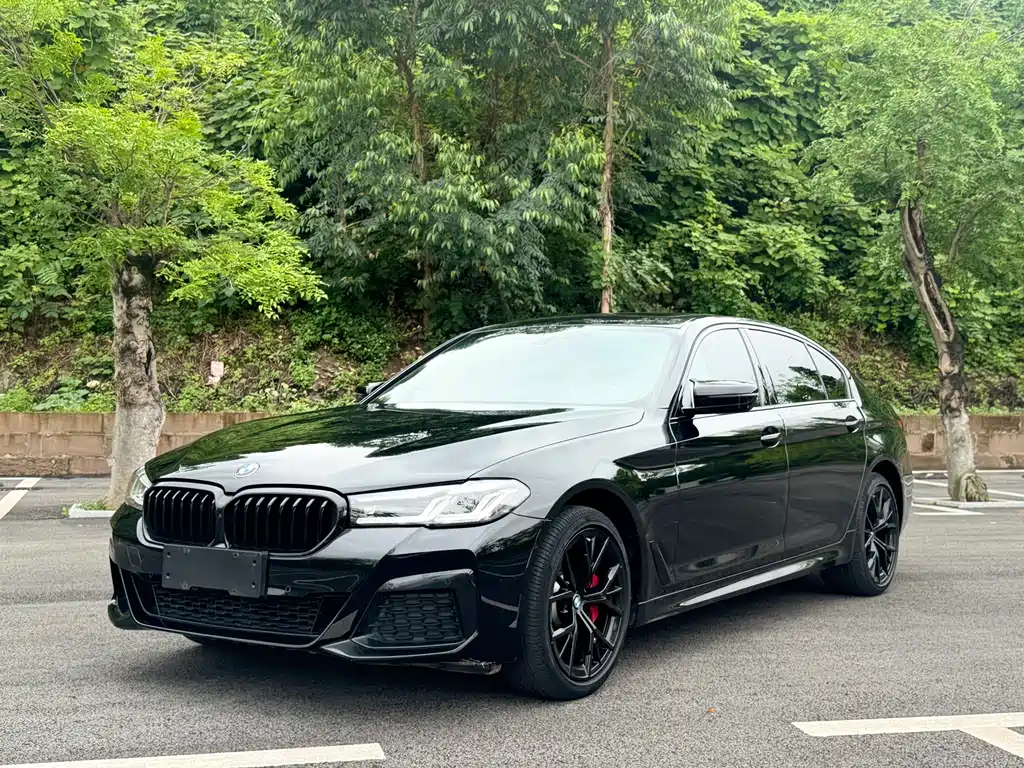 BMW 5 Series 2022