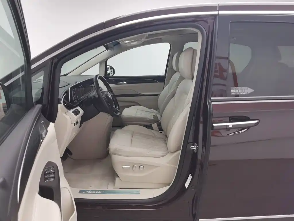 Buick GL8 2020 Avenir мест