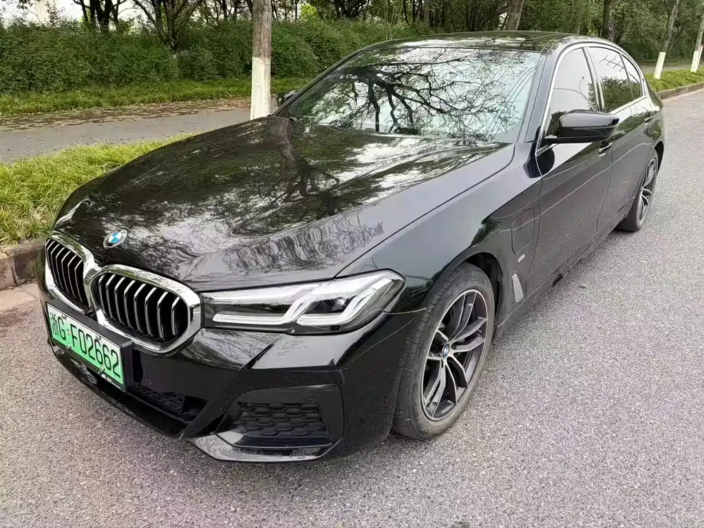 BMW 5 Series New Energy 2021