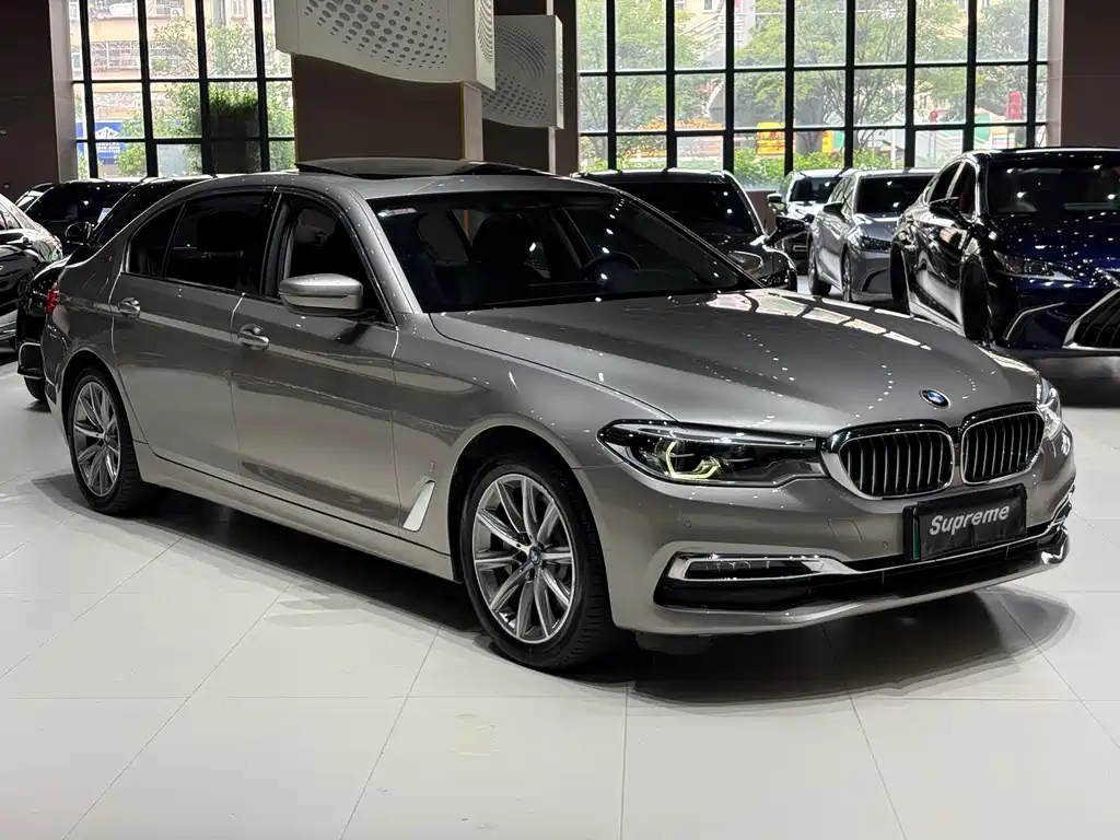 BMW 5 Series 5 2019 530Le Luxury