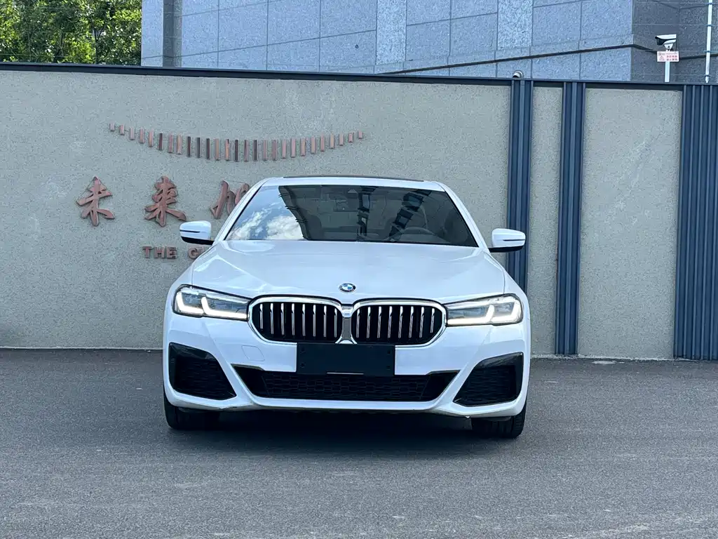 BMW 5 Series — миниатюра 2