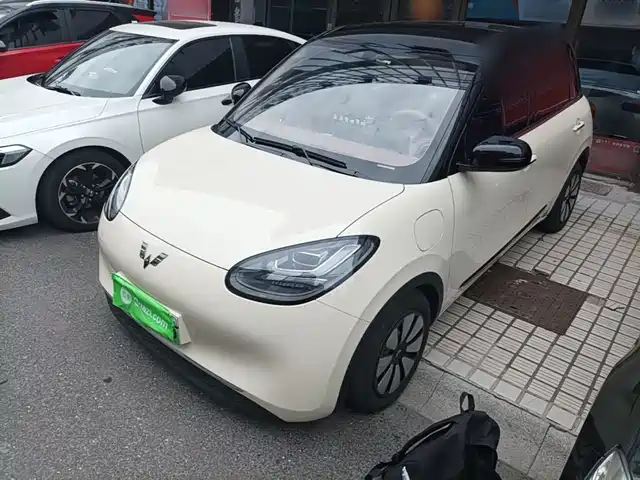 2025 Wuling Motors Binguo