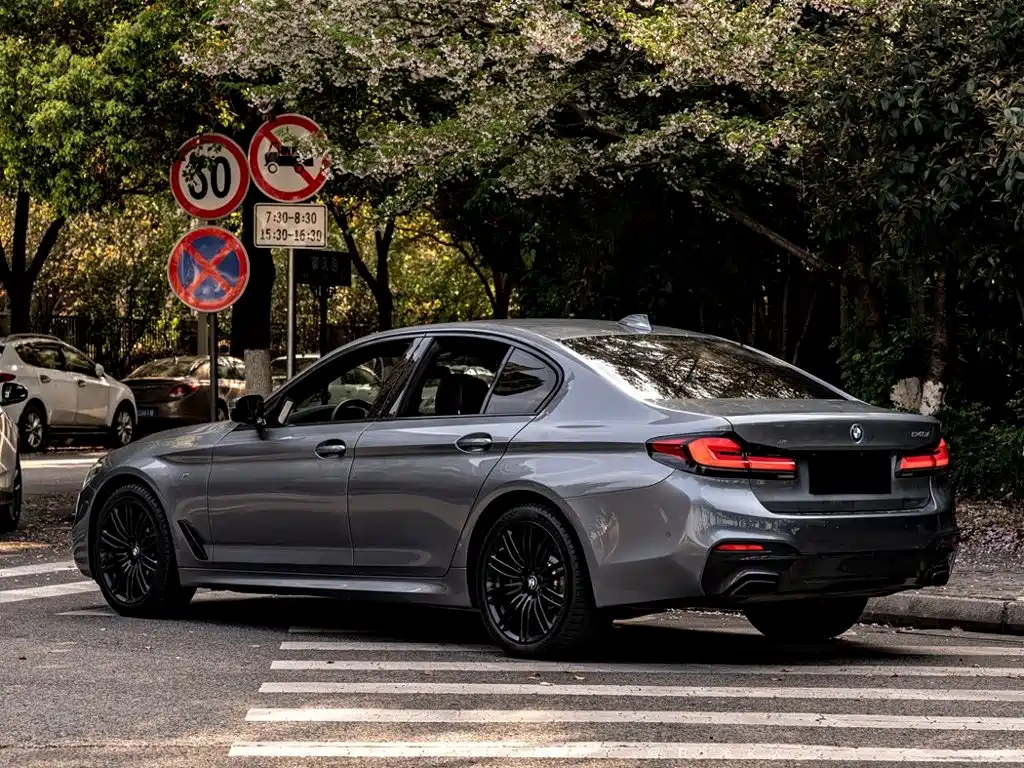 BMW 5 Series (Import) — миниатюра 14