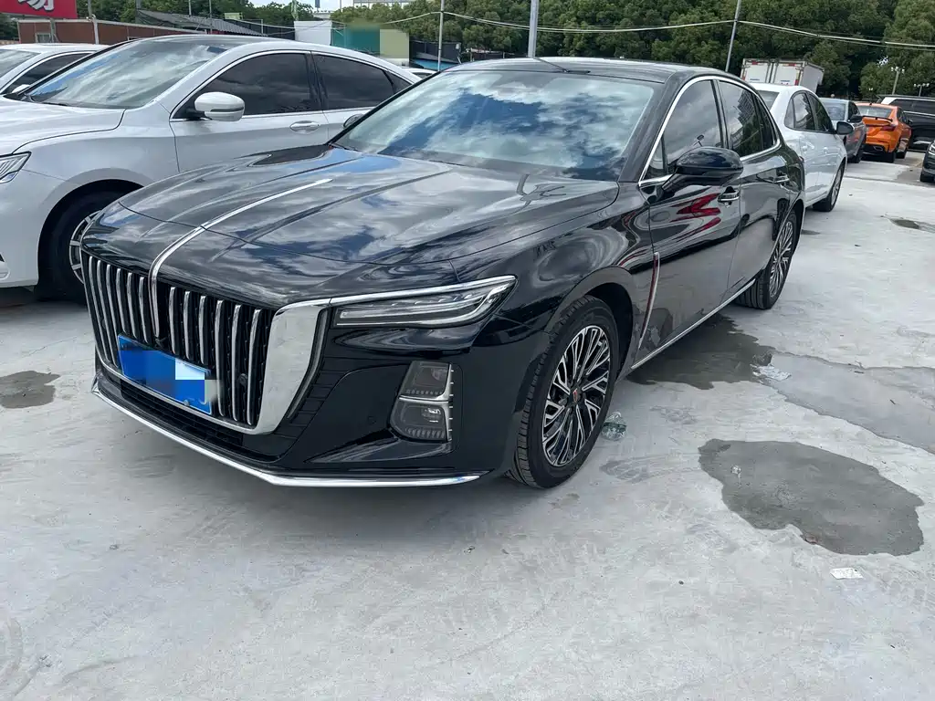 Hongqi Hongqi H5 2024
