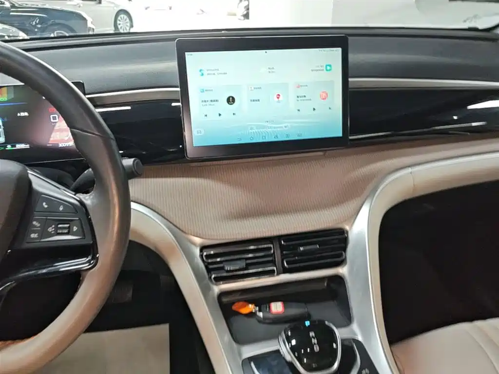 BYD Pro New Energy - фото 9