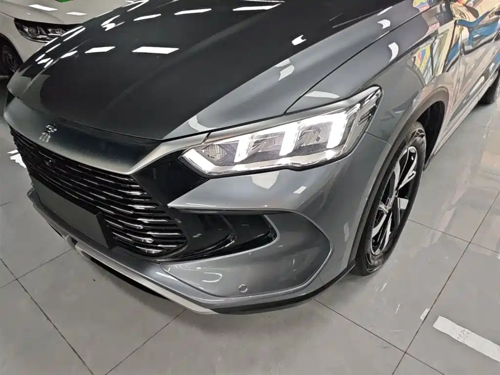 BYD Pro New Energy - фото 18