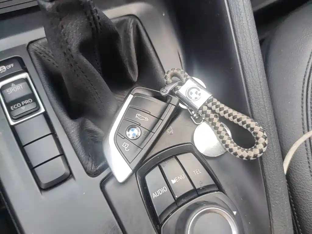 BMW X1 2018 sDrive20Li Lead