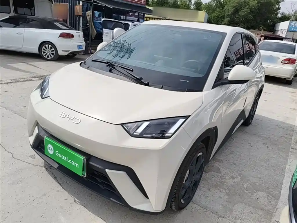 Byd Seagull 2024