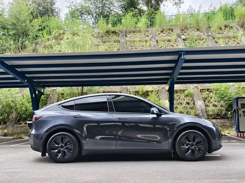Tesla Model Y — миниатюра 4