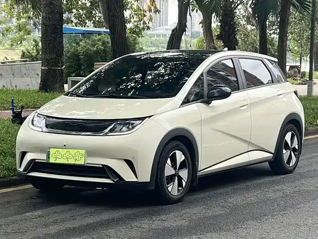 2023 BYD Dolphin