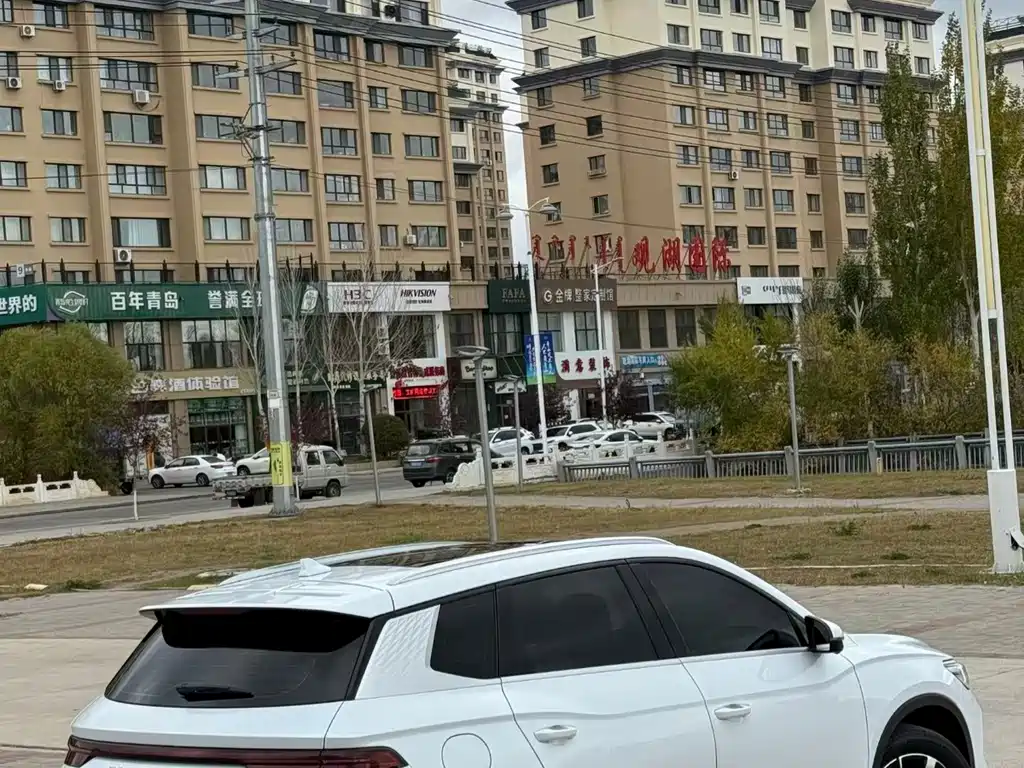 BYD Pro New Energy — миниатюра 18