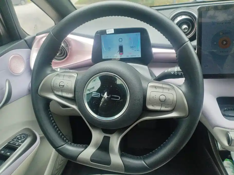 BYD Dolphin — миниатюра 15
