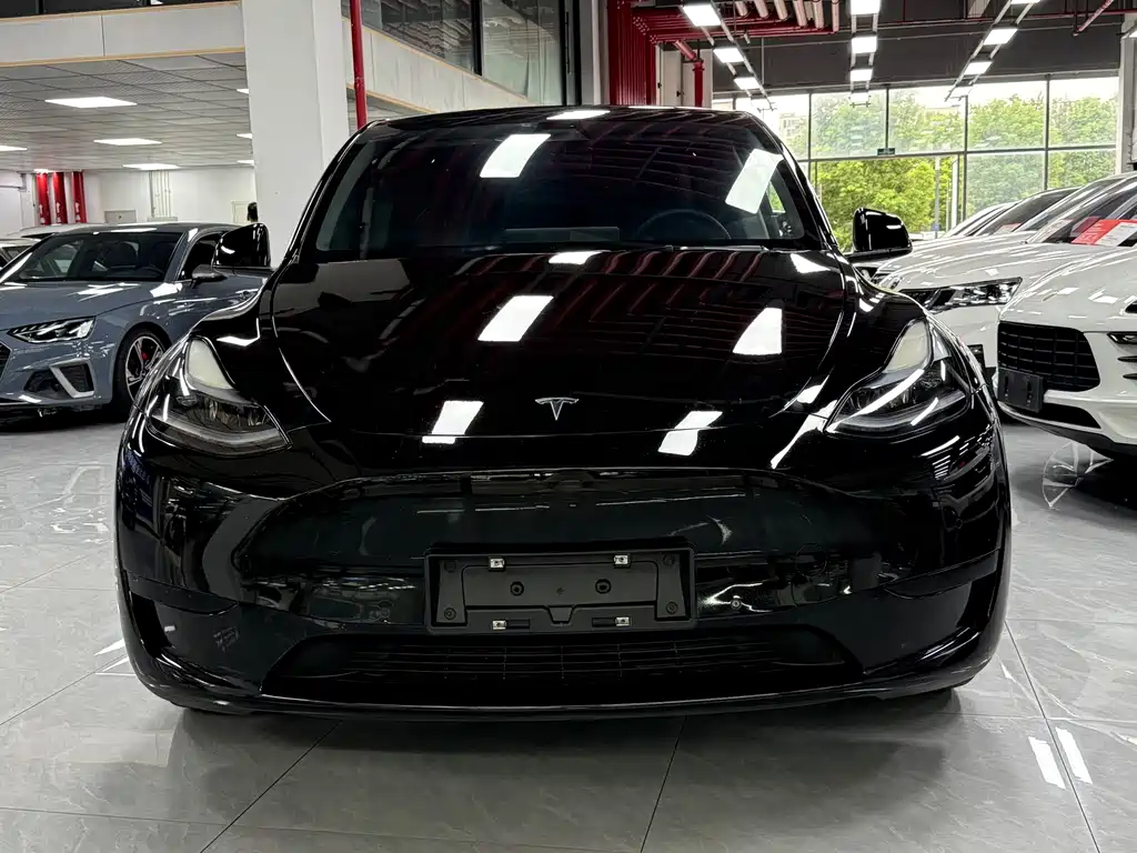 Tesla Model Y — миниатюра 2