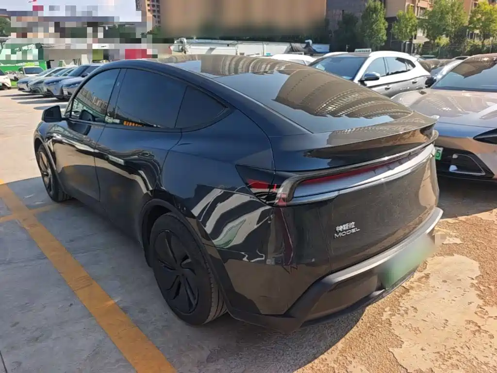 Tesla Model Y — миниатюра 5