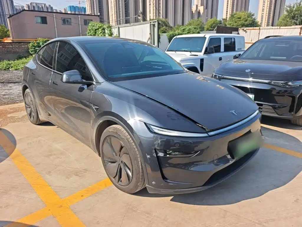 Tesla Model Y — миниатюра 4