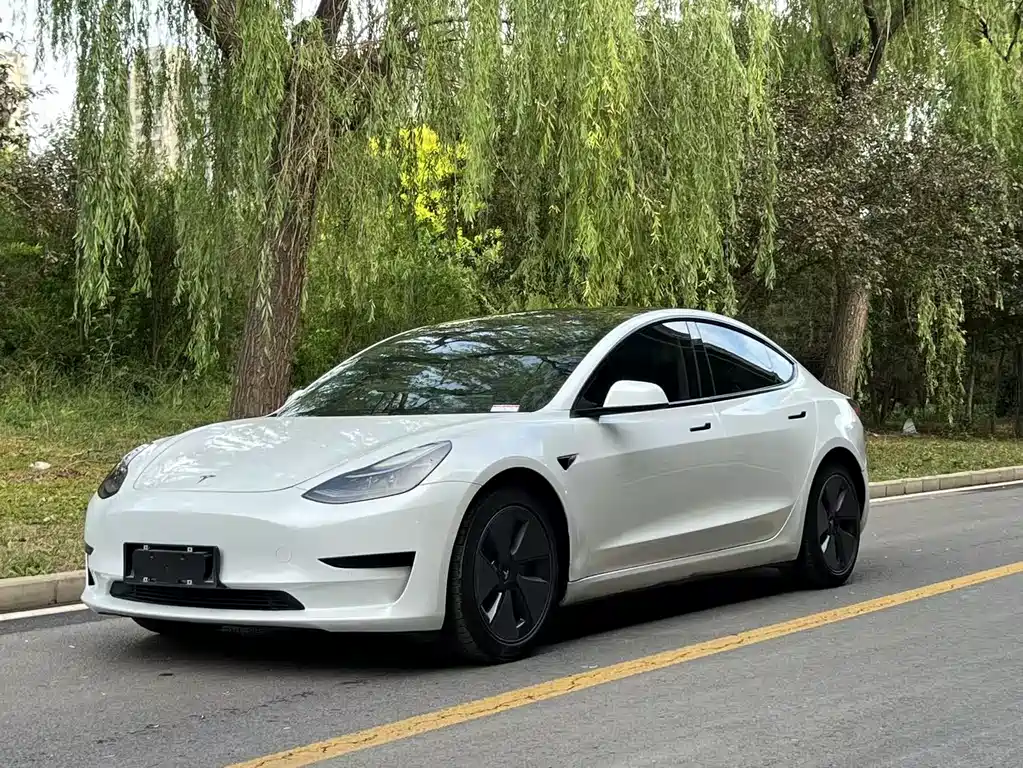 Tesla Model 3 2021