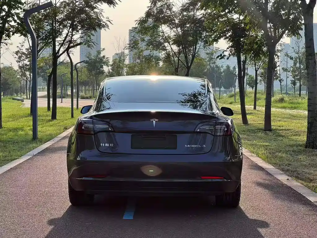 Tesla Model 3 — миниатюра 8