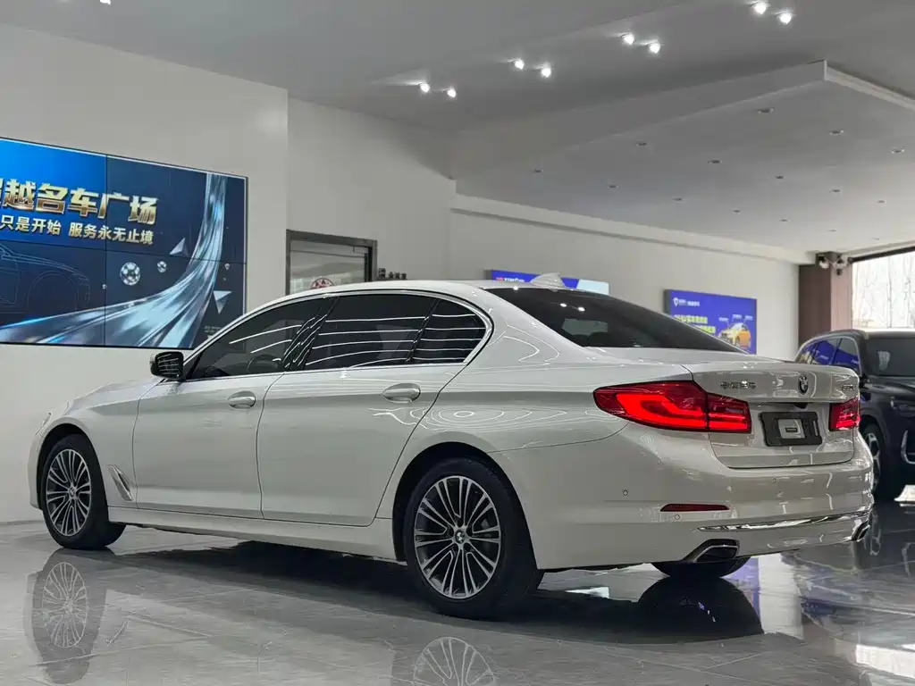 BMW 5 Series 5 2019 530Li Premium Luxury