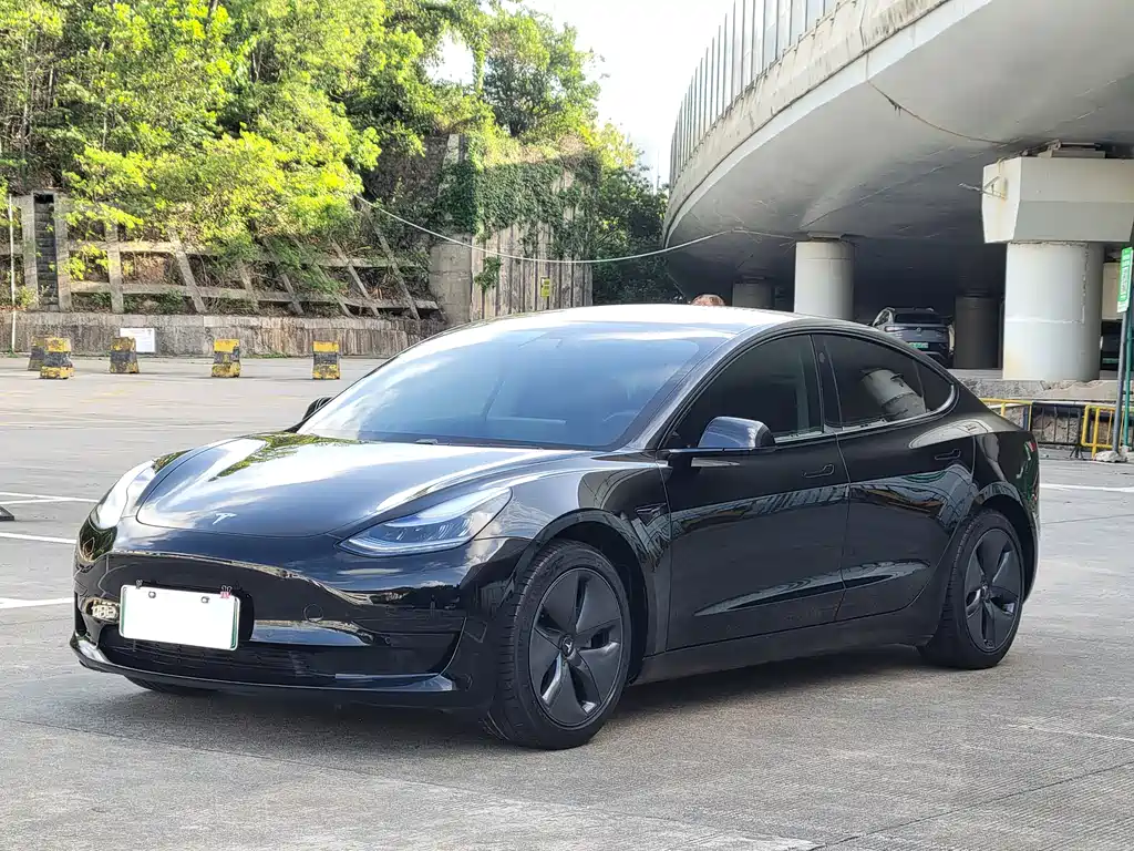 Tesla Model 3 2020