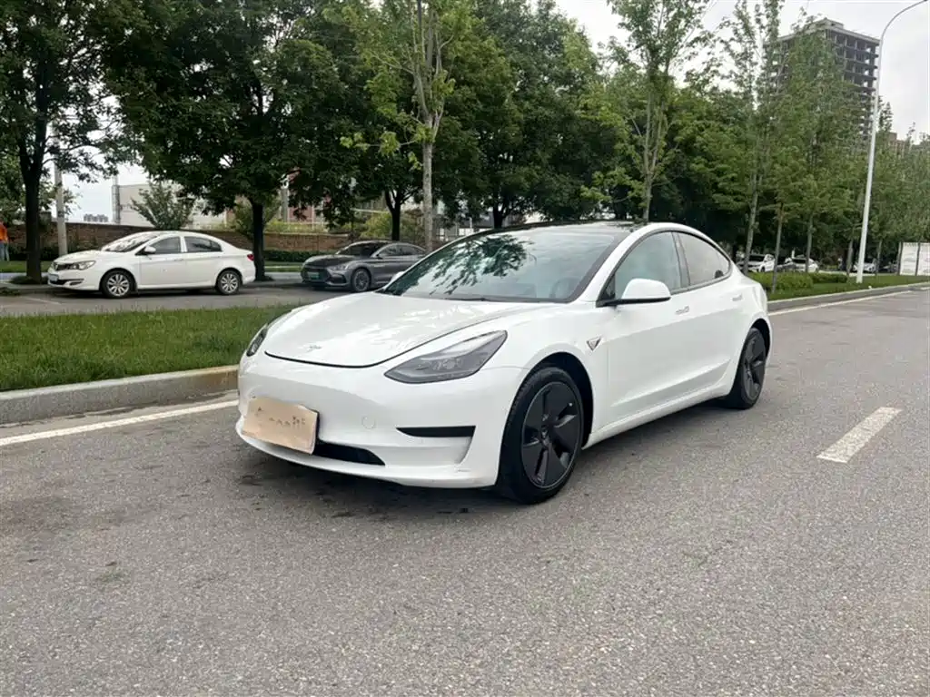 Tesla Model 3 2022