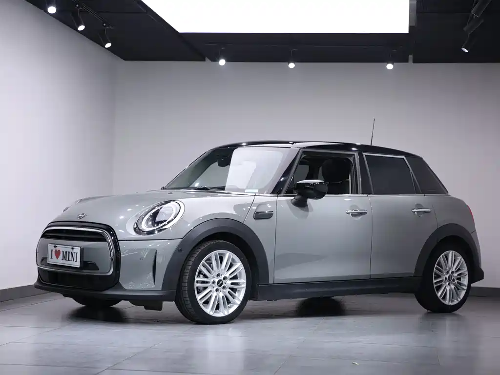 Mini Mini 2021
