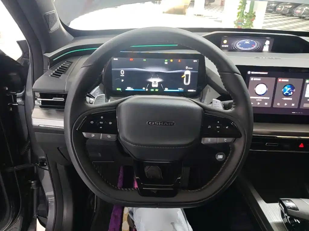 Oshan Oushang Z6 New Energy — миниатюра 11