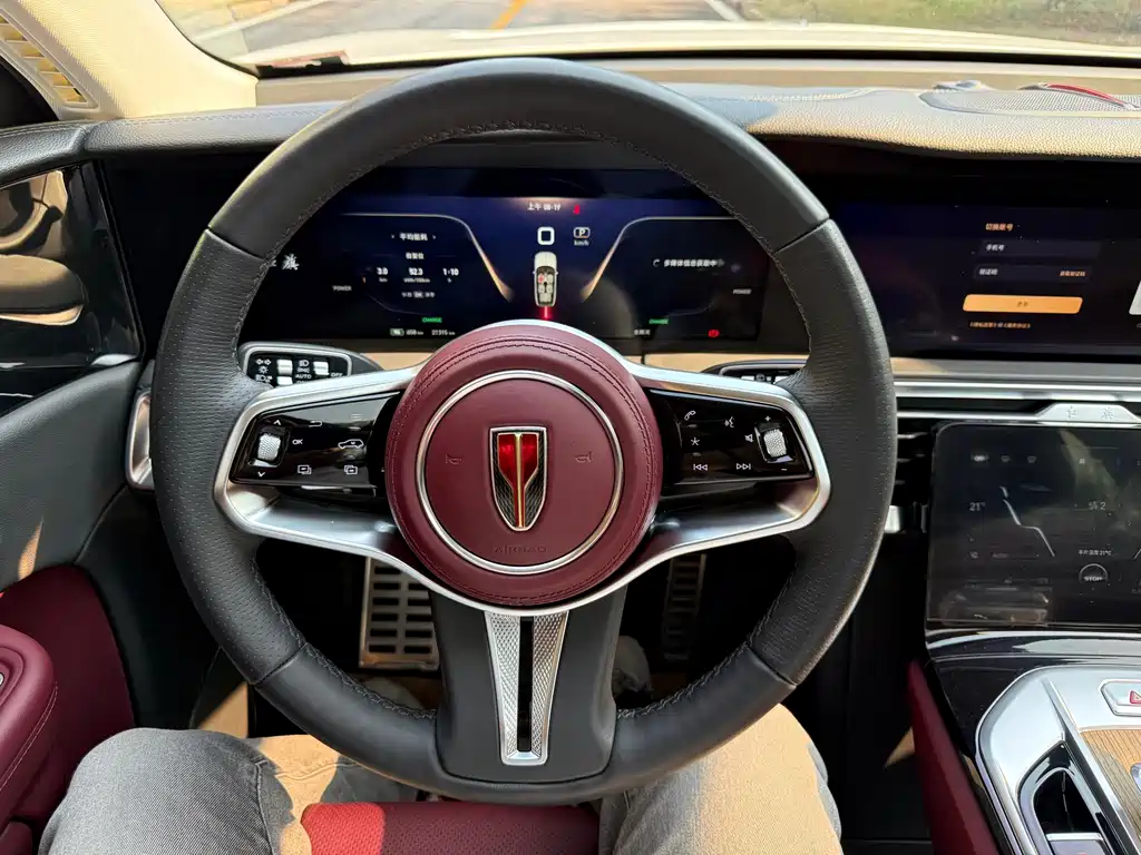Hongqi Hongqi E-HS9 — миниатюра 6