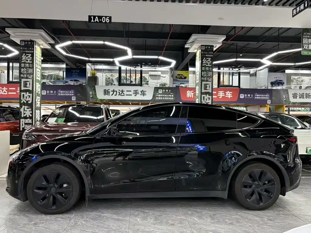 Tesla Model Y — миниатюра 3