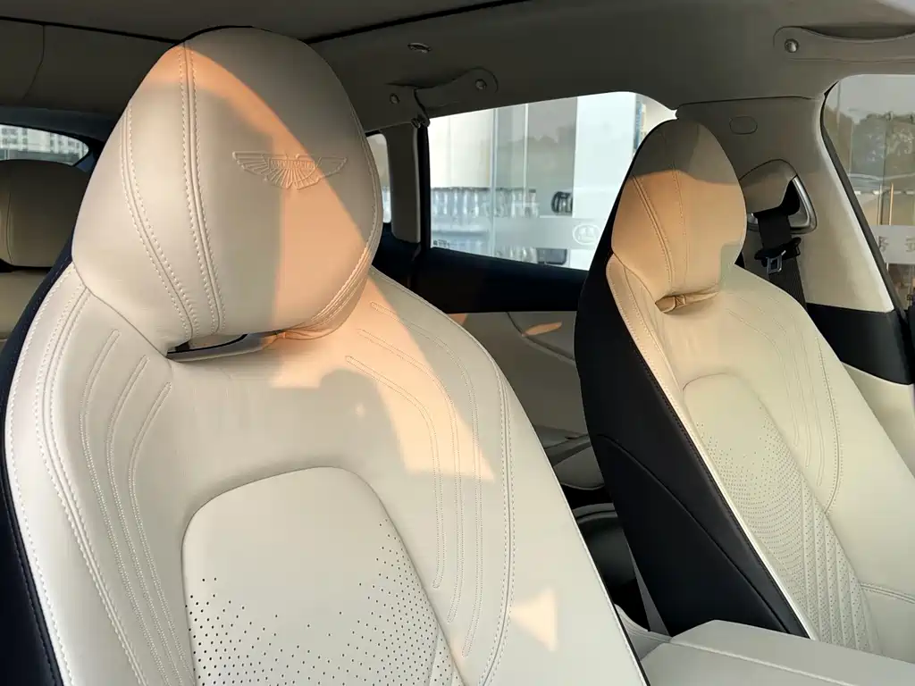 Aston Martin DBX — миниатюра 17