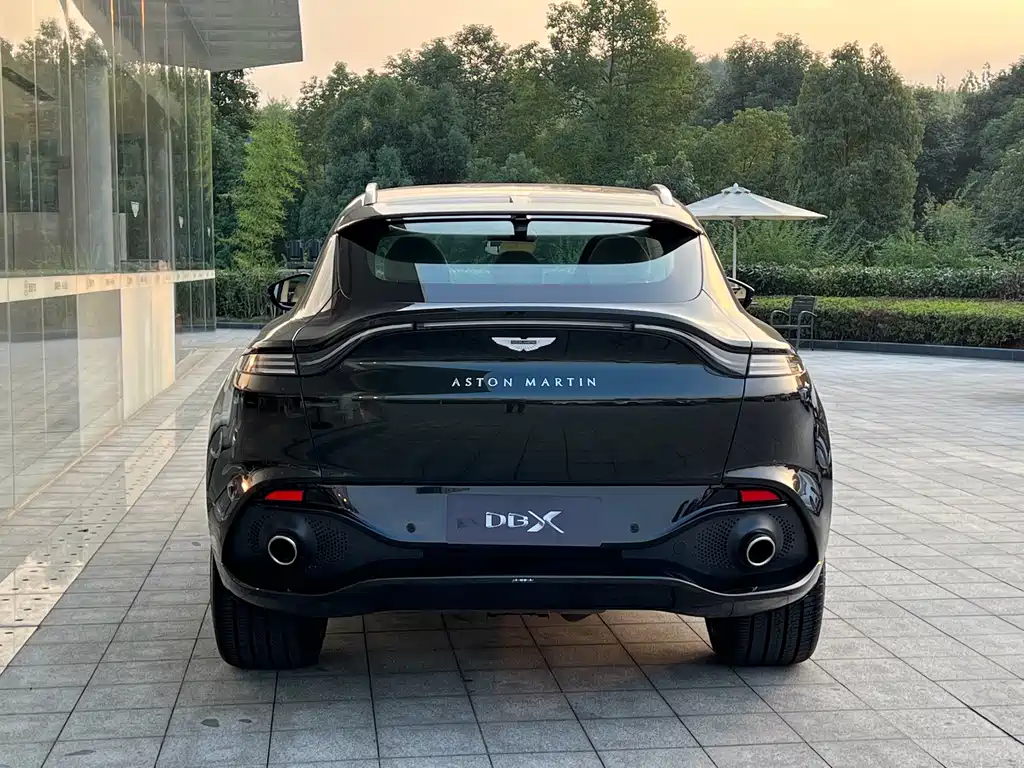 Aston Martin DBX — миниатюра 10